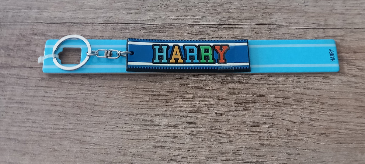 Sleutelhanger blauw Harry