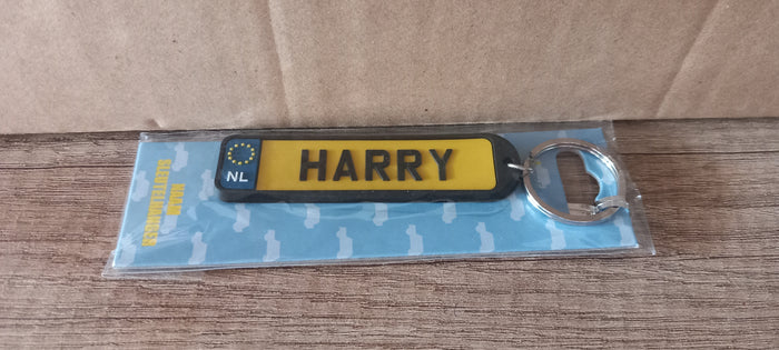 Sleutelhanger kenteken afgerond: Harry