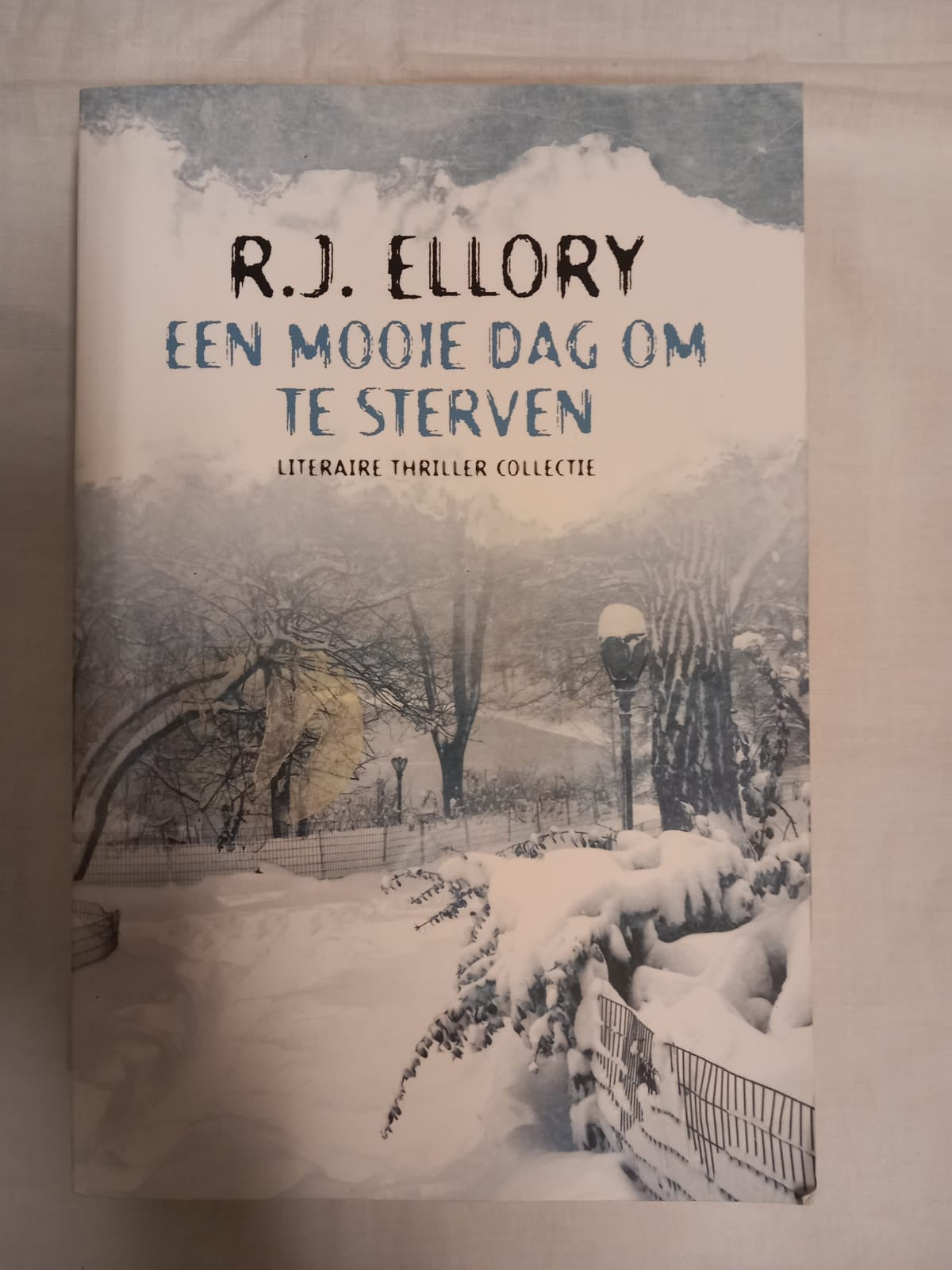 Een mooie dag om te sterven - R.J. Ellory