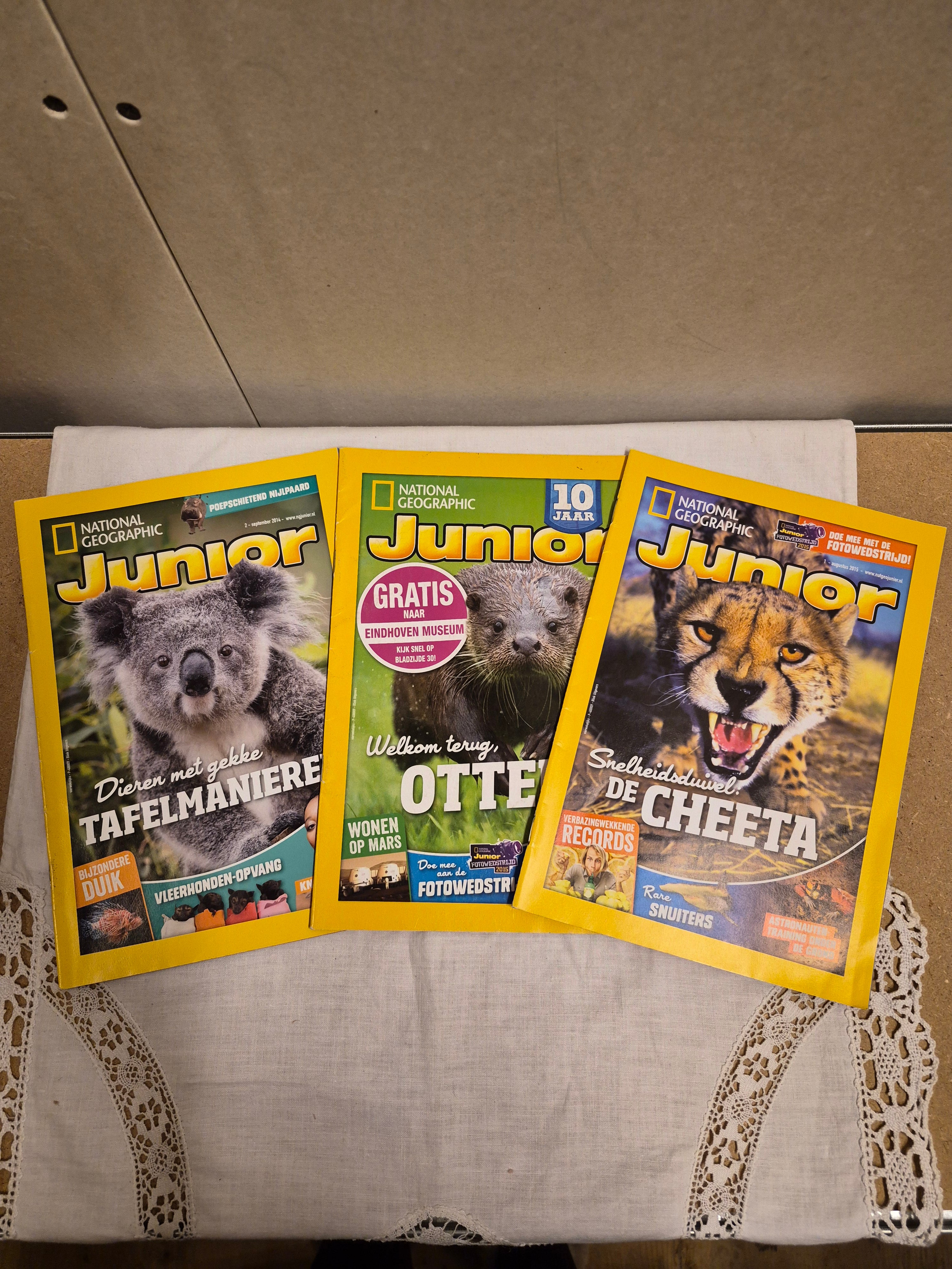 3x het blad junior samen