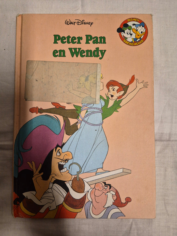 Disney boek