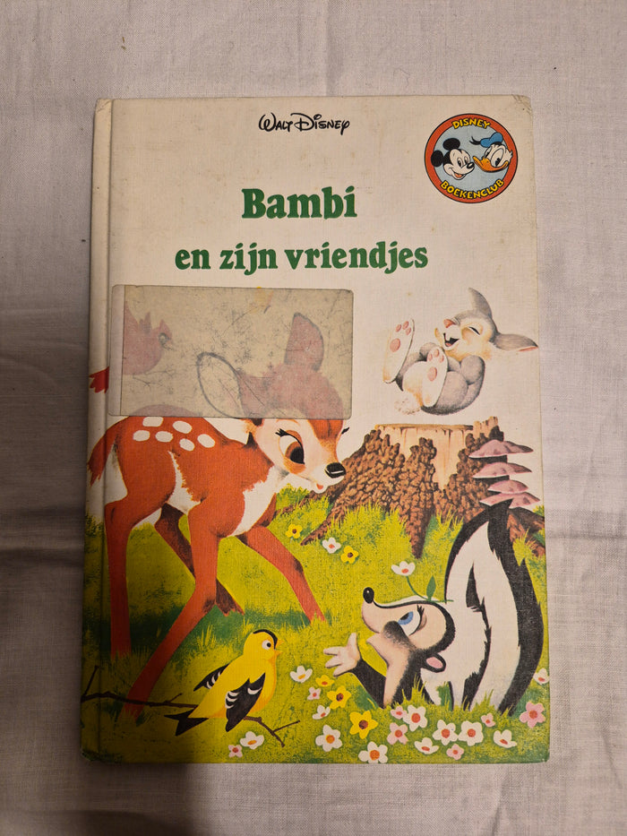 Disney boek