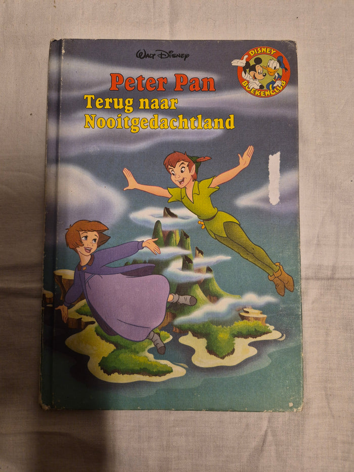Disney boek
