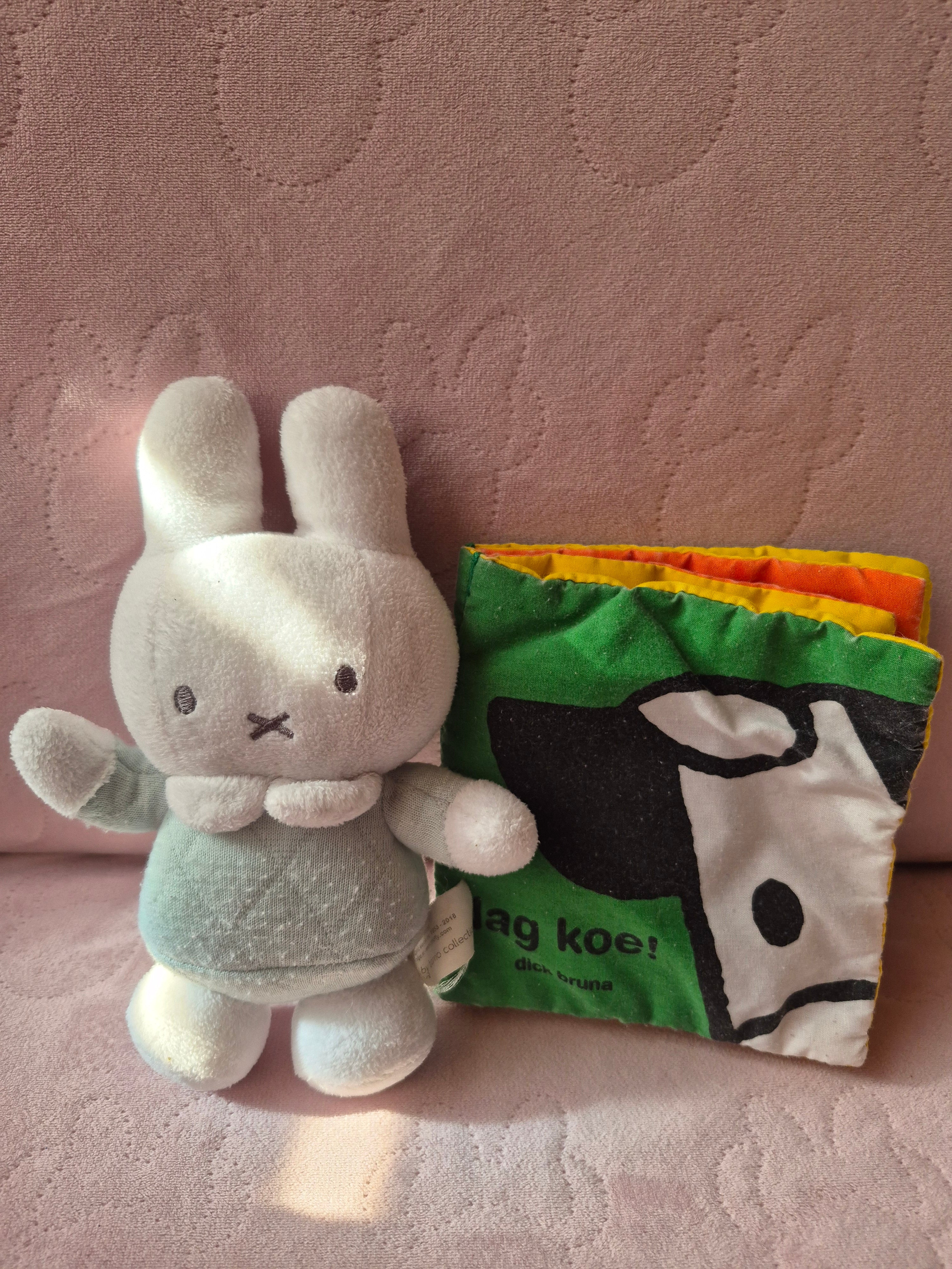 Knuffel nijntje plus krispboekje