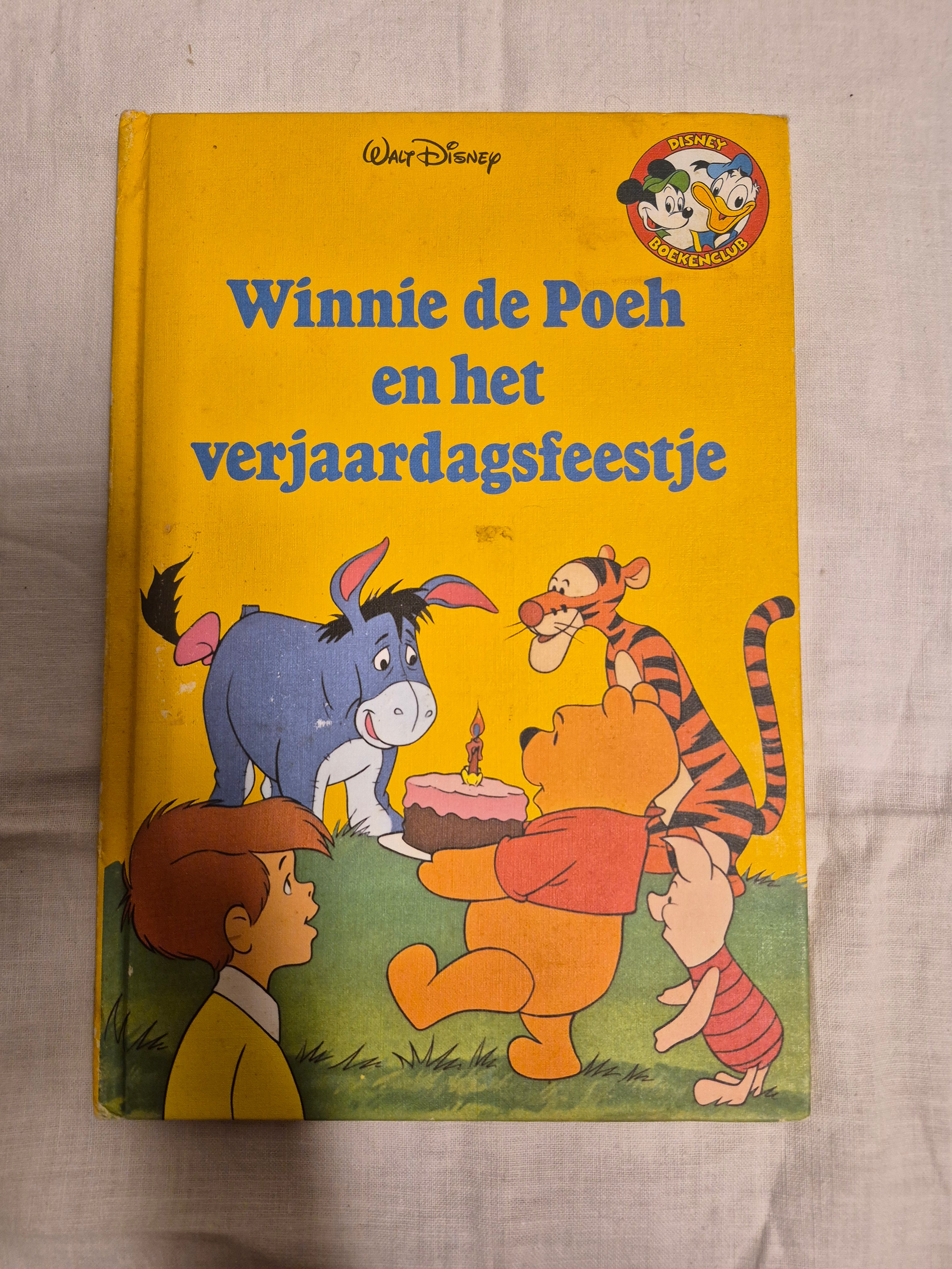 Disney boek