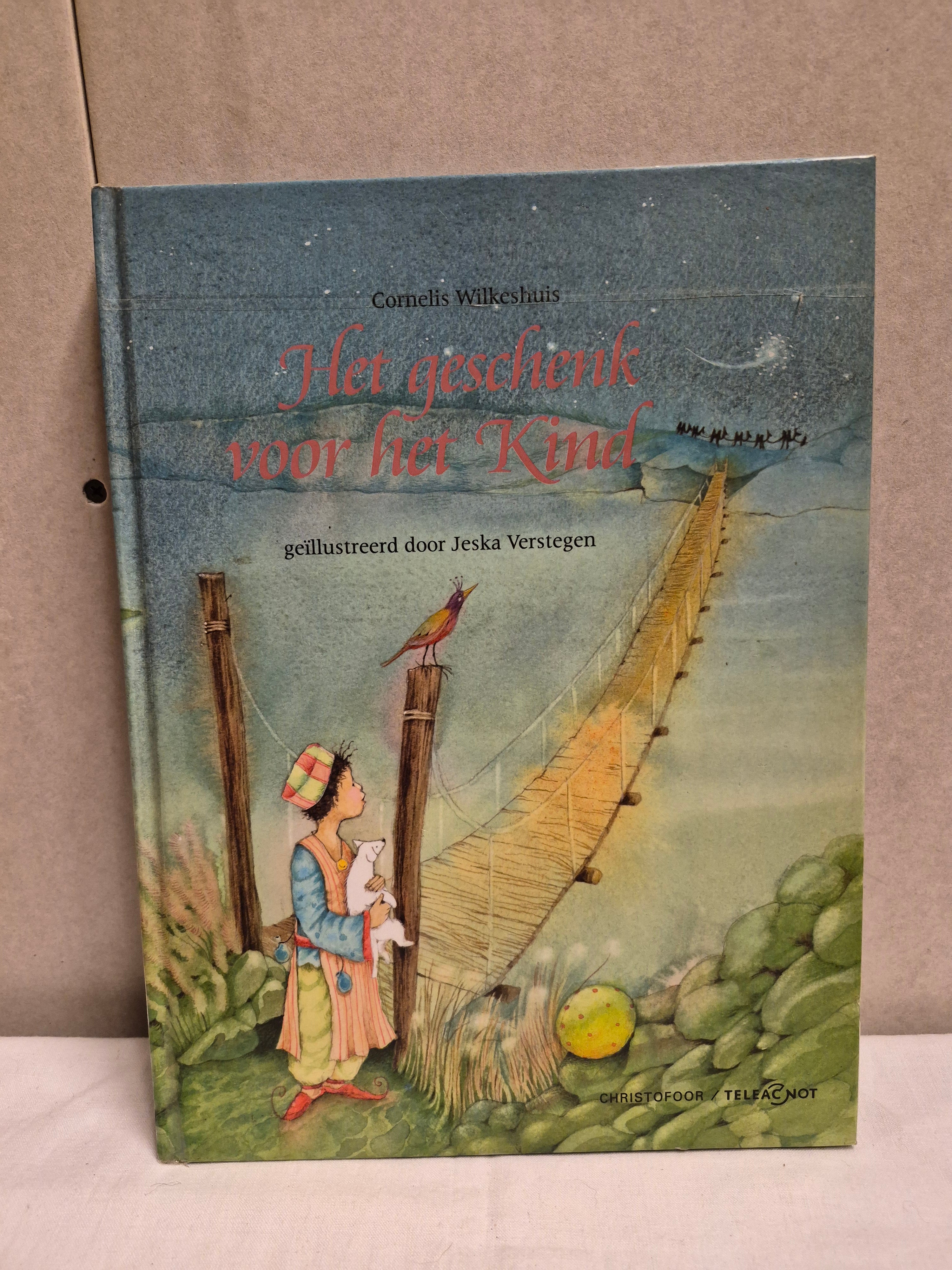 Kinderboek het geschenk voor het kind