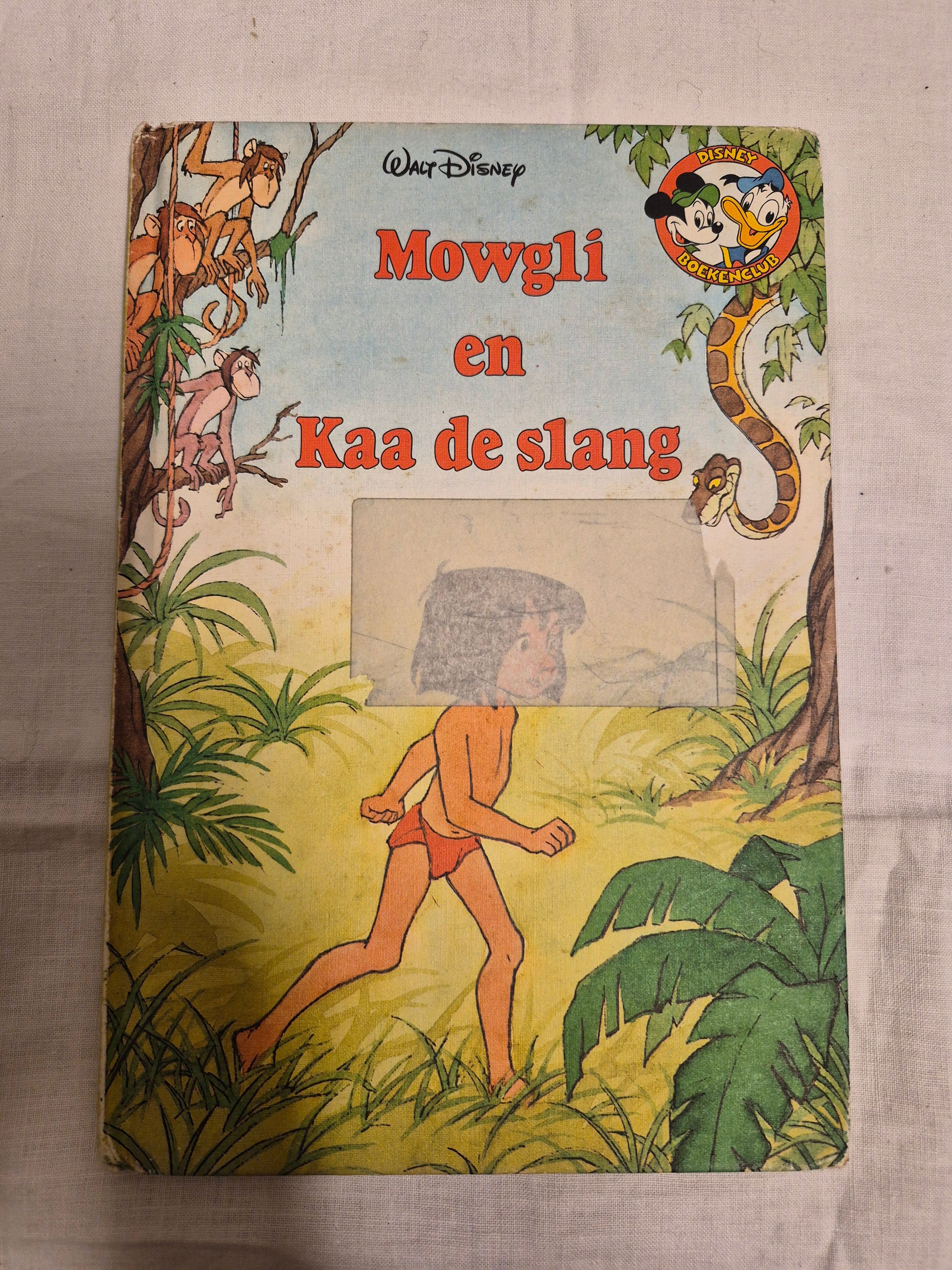 Disney boek