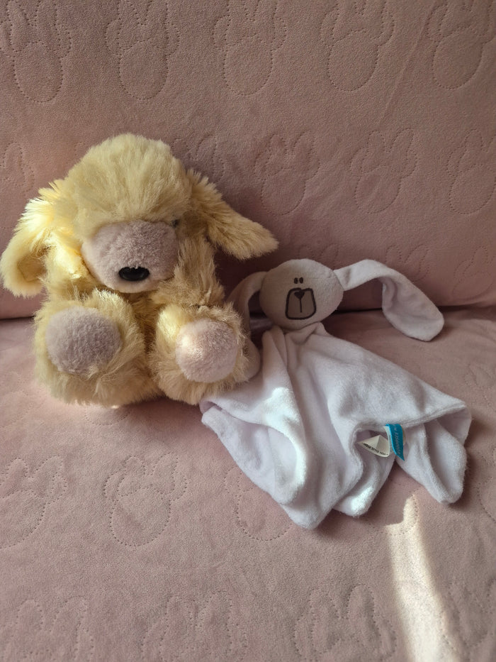 Knuffelset tutteldoek en hondje