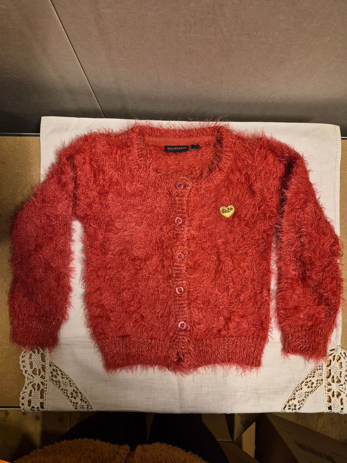 Prachtig vest maat 86