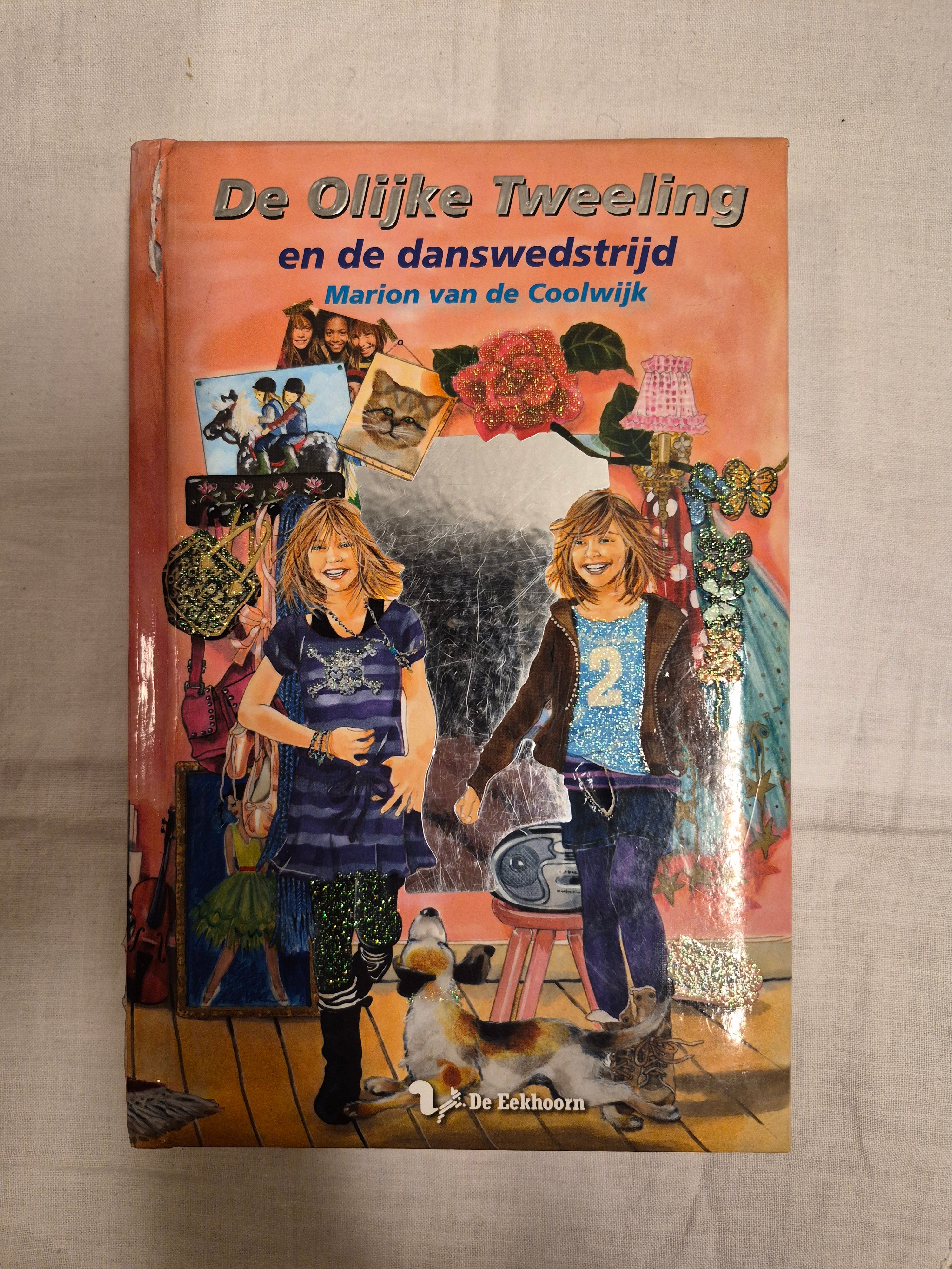 Kinderboek de olijke tweeling
