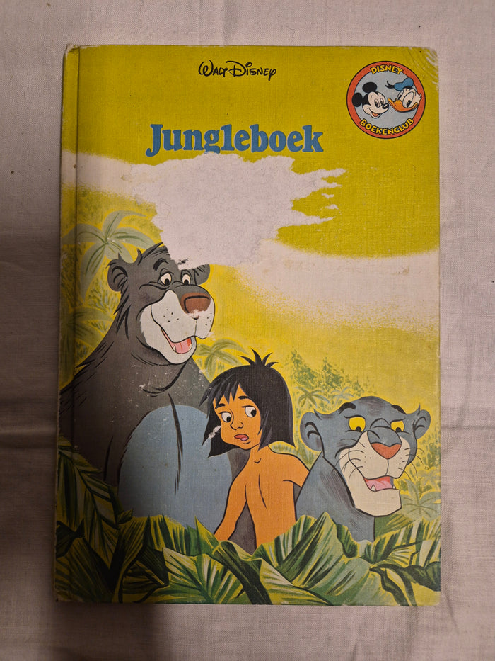 Disney boek